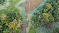 崩壊に向かうアマゾン熱帯雨林、２０５０年にも重大な転換点　新研究